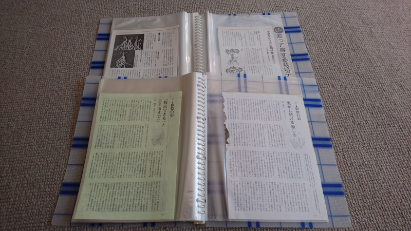 趣味の山野草の一部を切り取って残してあるファイル