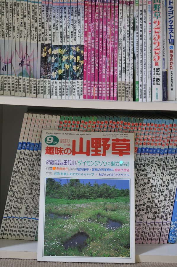 趣味の山野草